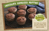Chocolate Espresso Muffins